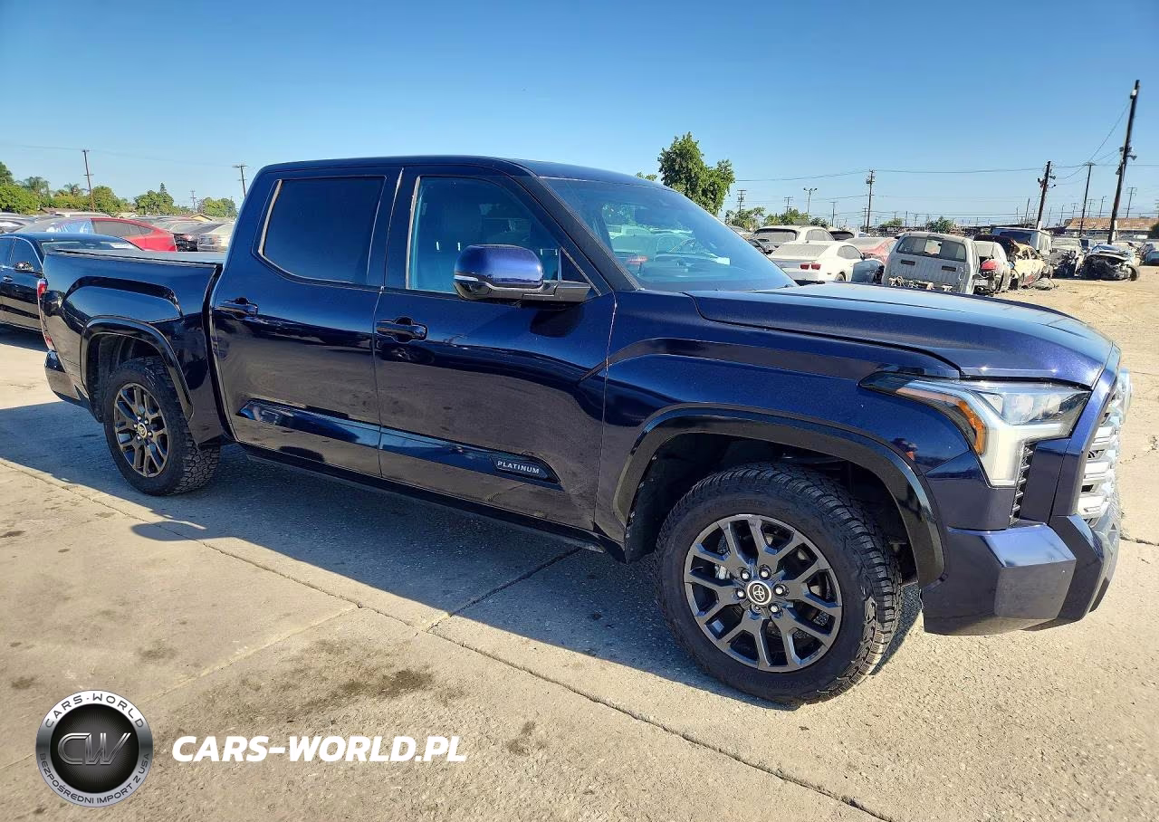 2023 Toyota Tundra Platinum VIN:5TFNA5DB7PX106863 - 4