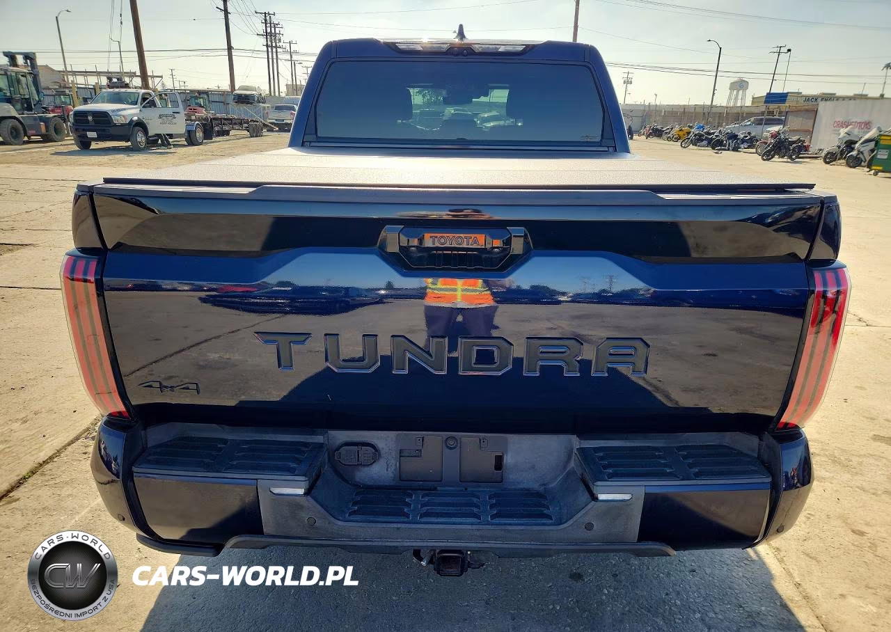 2023 Toyota Tundra Platinum VIN:5TFNA5DB7PX106863 - 6