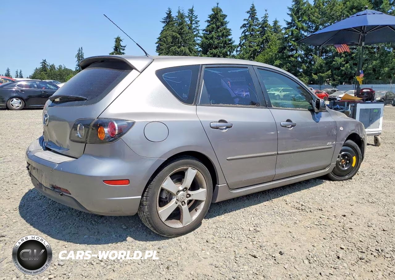 2006 Mazda 3 Hatchback VIN:JM1BK144X61491296 - 3