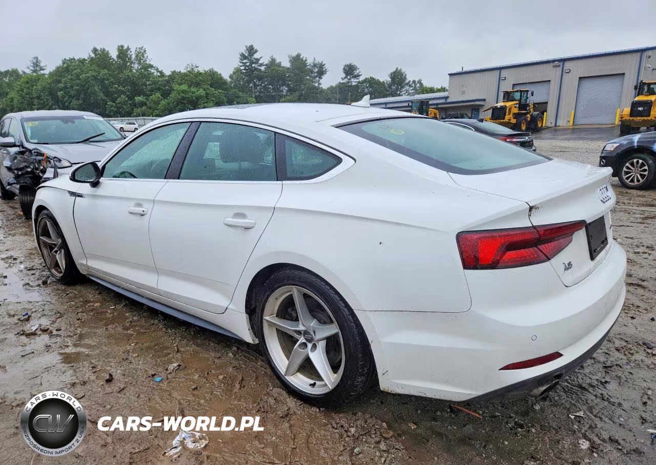 2019 Audi A5 Premium Plus S-Line VIN:WAUENCF59KA008586 - 2