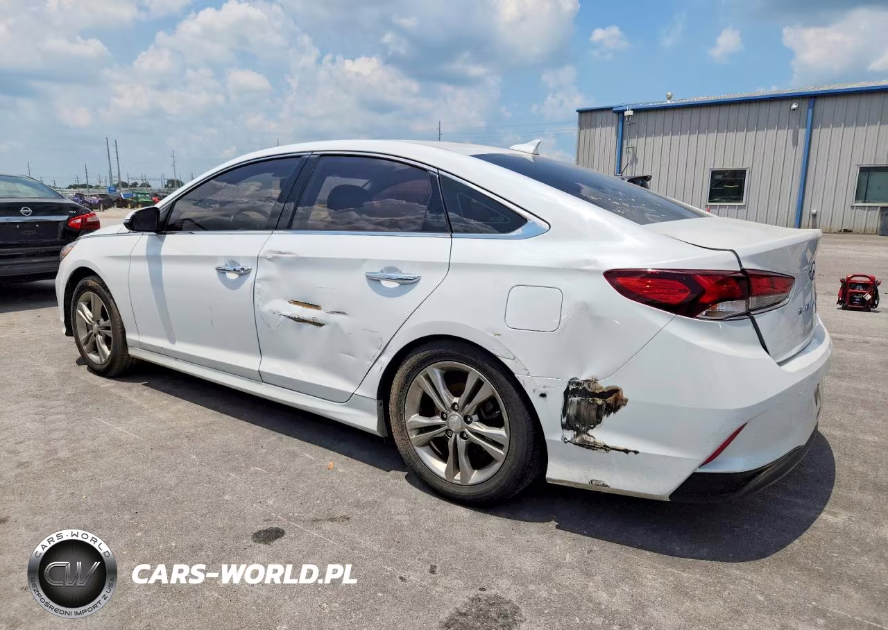 2019 Hyundai Sonata VIN:5NPE34AF2KH820710 - 2