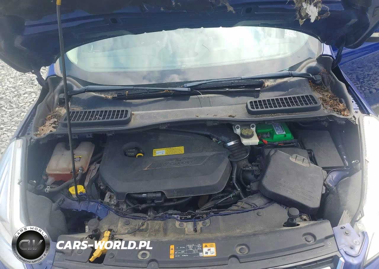 2013 Ford Escape Sel VIN:1FMCU0HX3DUA85347 - 12