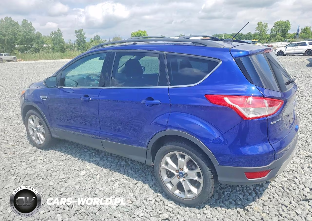 2013 Ford Escape Sel VIN:1FMCU0HX3DUA85347 - 2