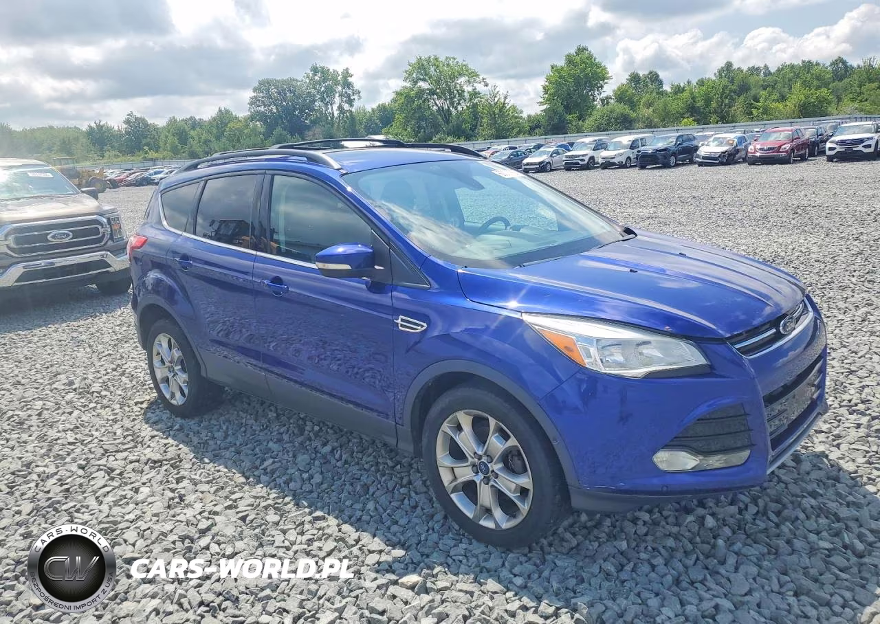 2013 Ford Escape Sel VIN:1FMCU0HX3DUA85347 - 4