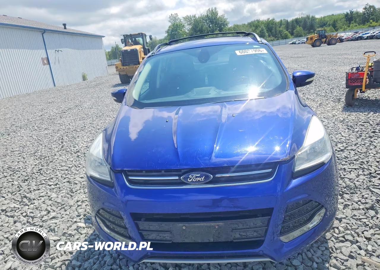 2013 Ford Escape Sel VIN:1FMCU0HX3DUA85347 - 5