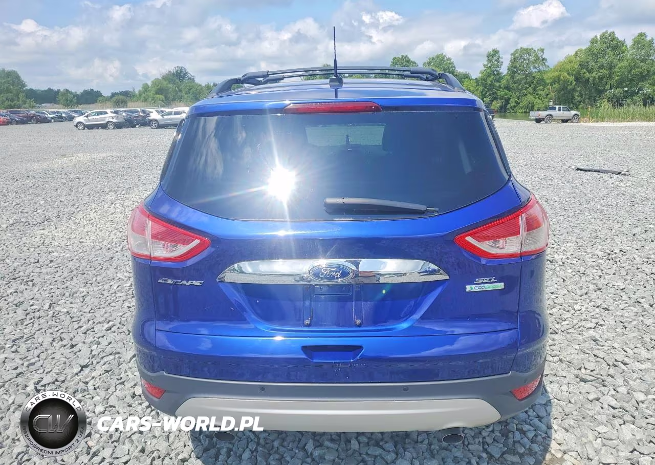 2013 Ford Escape Sel VIN:1FMCU0HX3DUA85347 - 6