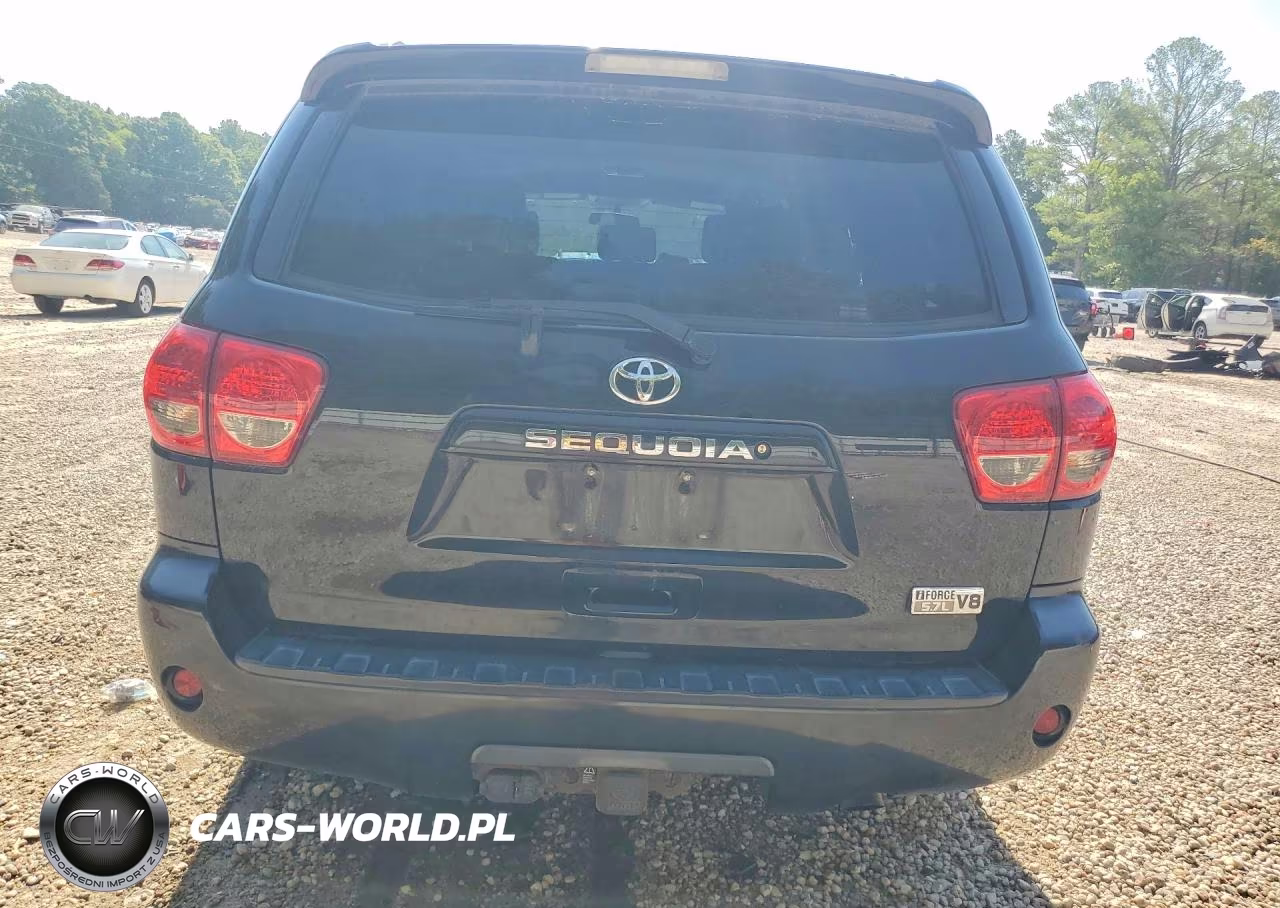 2013 Toyota Sequoia Sr5 VIN:5TDBY5G16DS079982 - 6