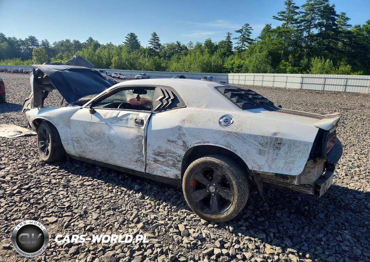 2018 Dodge Challenger Sxt VIN:2C3CDZAG1JH242220 - 2