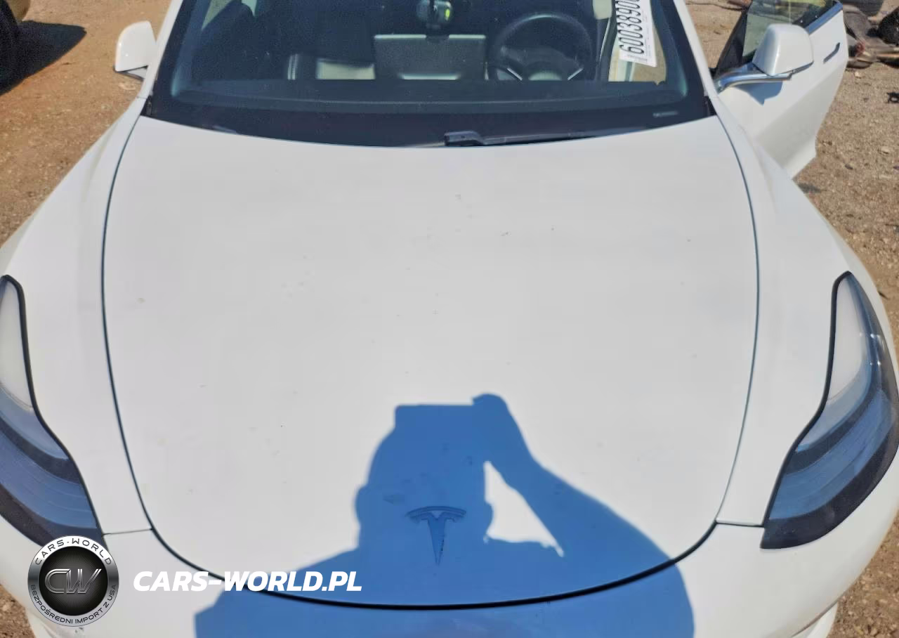 2020 Tesla Model 3 VIN:5YJ3E1EA2LF658950 - 11