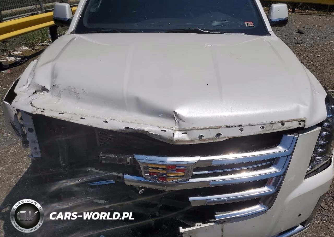 2017 Cadillac Escalade Esv Platinum VIN:1GYS4KKJ0HR271155 - 12