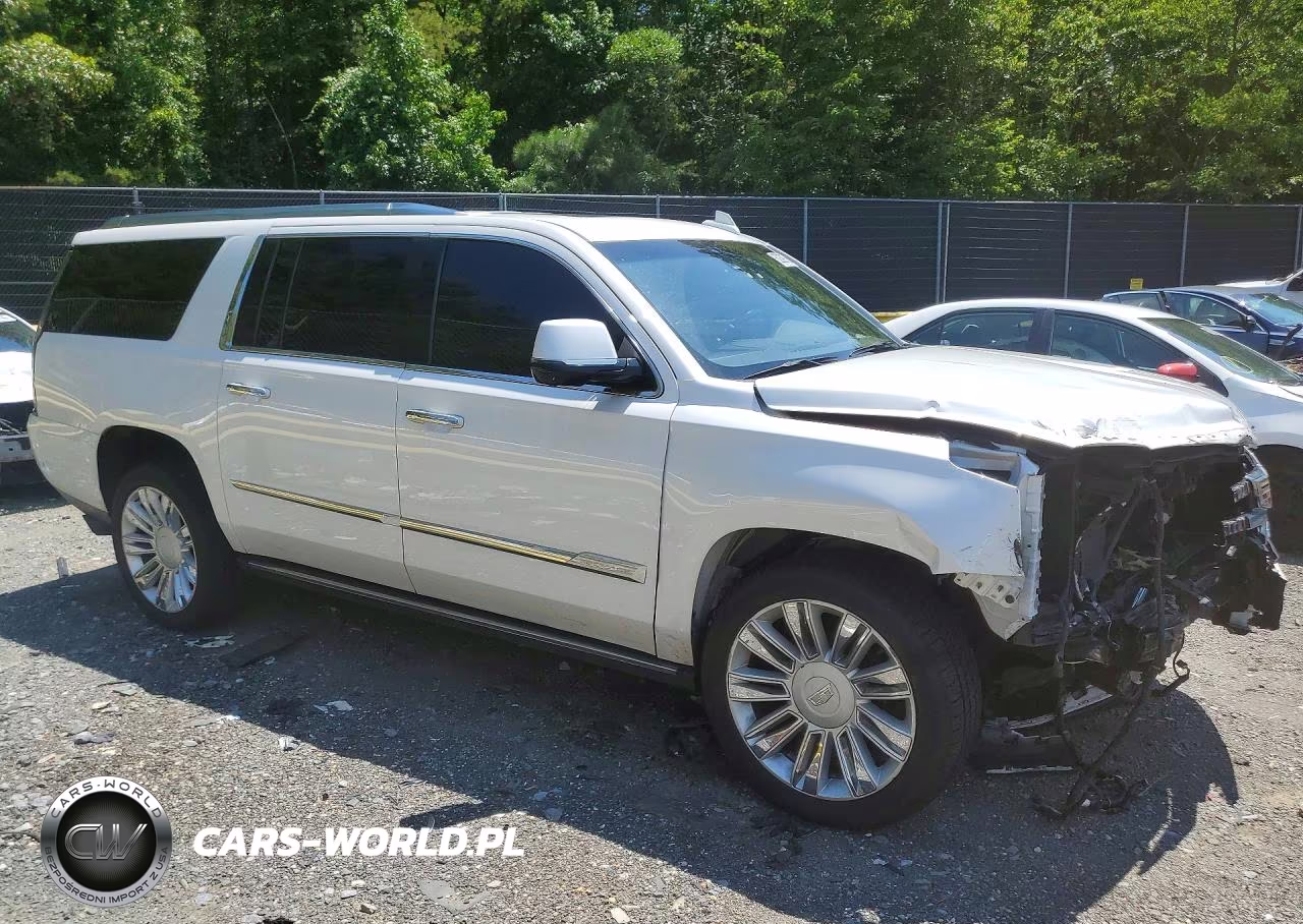 2017 Cadillac Escalade Esv Platinum VIN:1GYS4KKJ0HR271155 - 4
