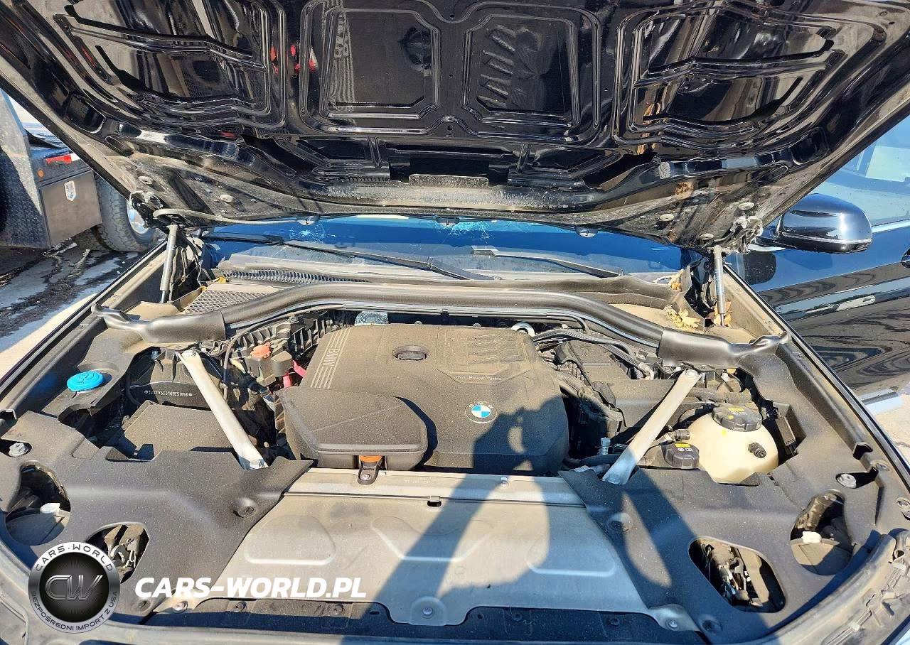 2021 BMW X3 xDrive30I VIN:5UXTY5C01M9E51858 - 12