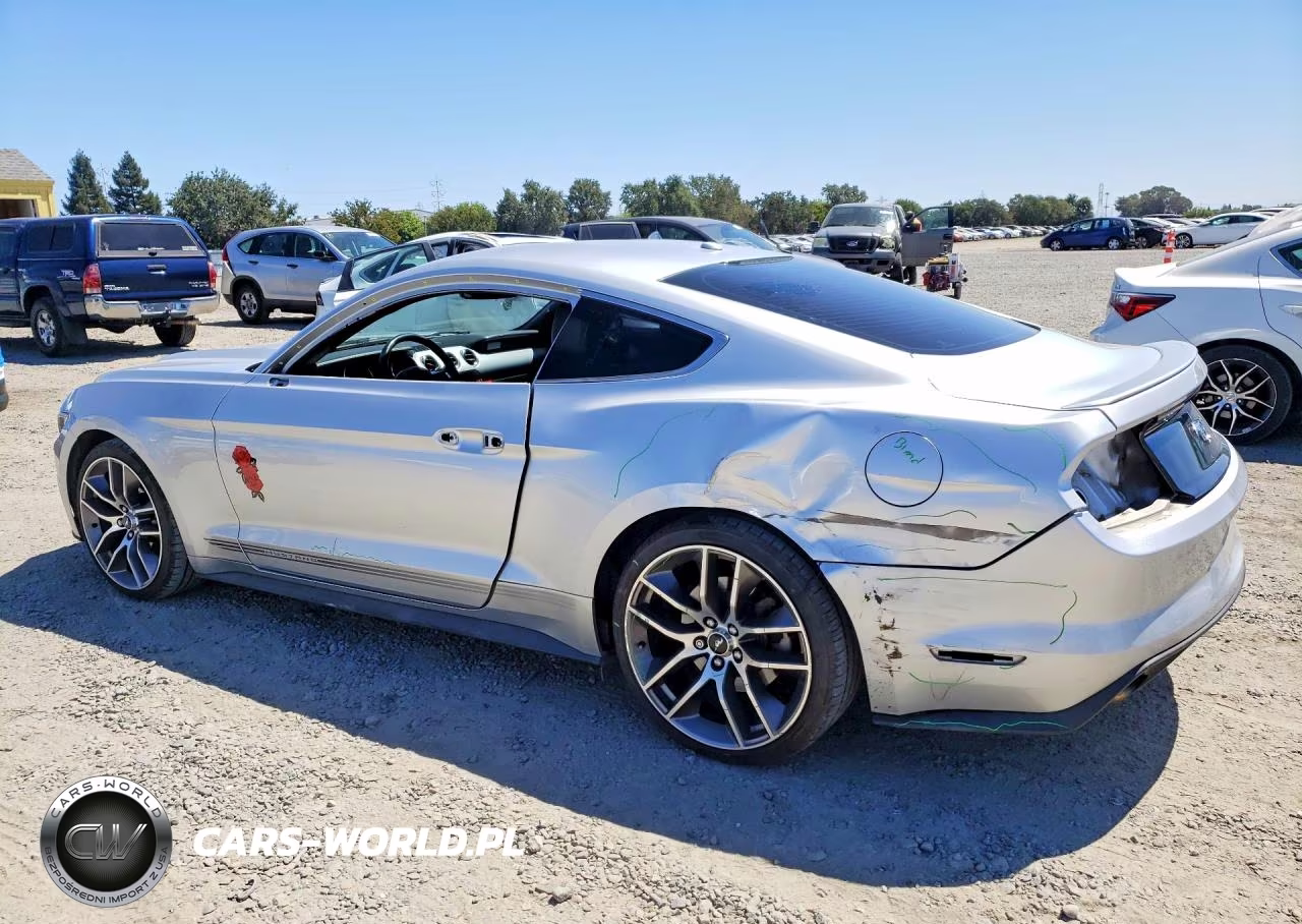 2017 Ford Mustang VIN:1FA6P8TH6H5239661 - 2