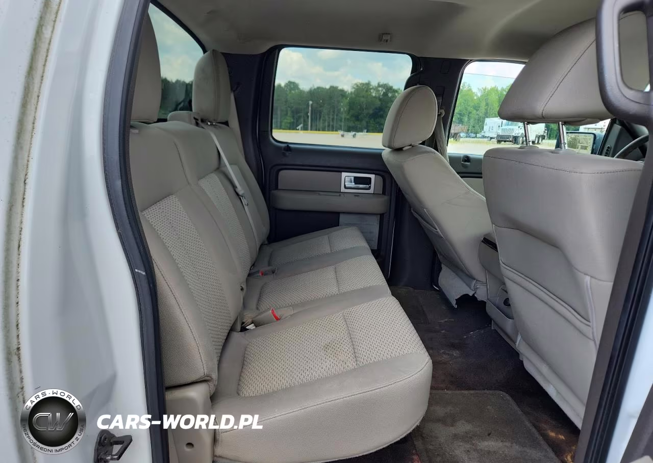 2010 Ford F150 Supercrew VIN:1FTFW1CV9AFB24515 - 10