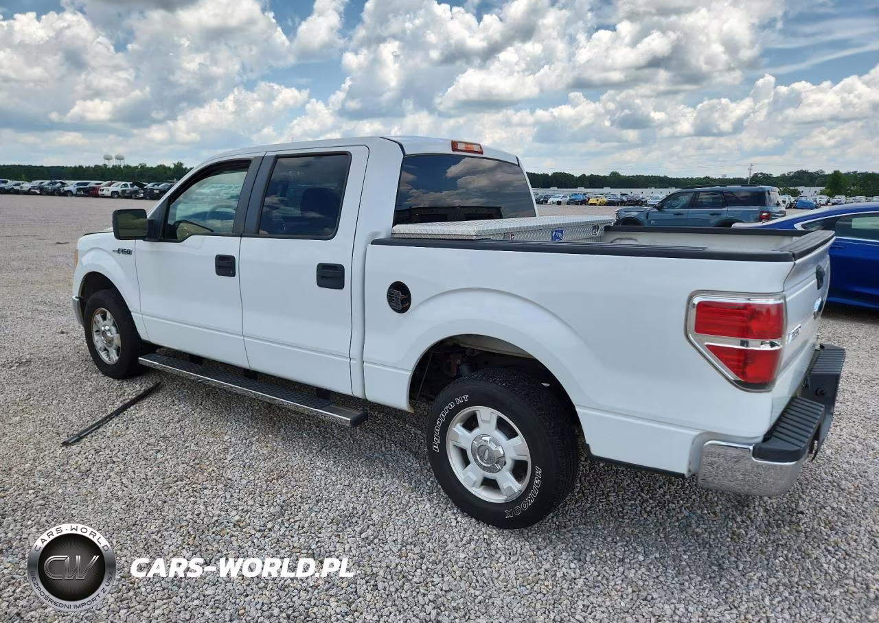 2010 Ford F150 Supercrew VIN:1FTFW1CV9AFB24515 - 2