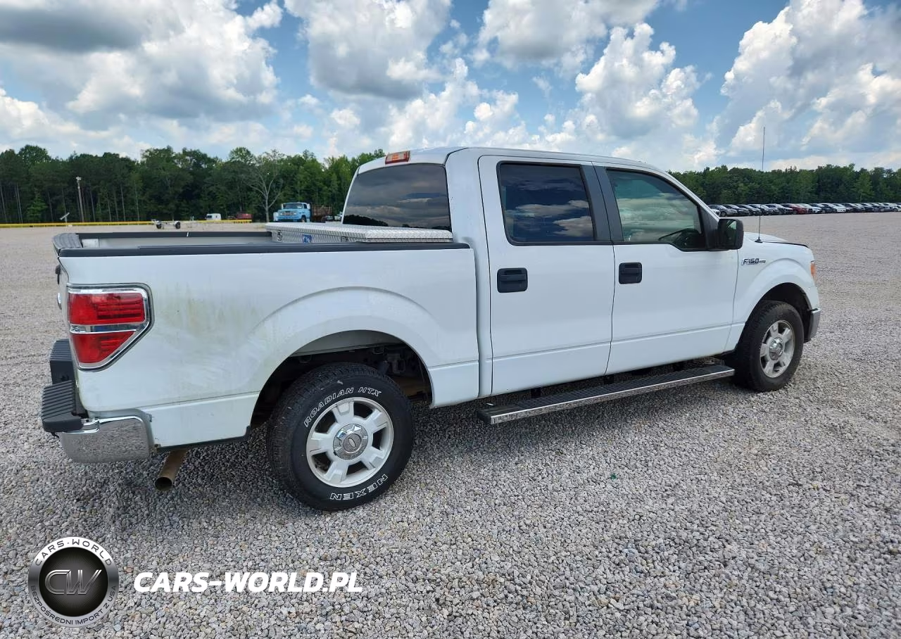 2010 Ford F150 Supercrew VIN:1FTFW1CV9AFB24515 - 3