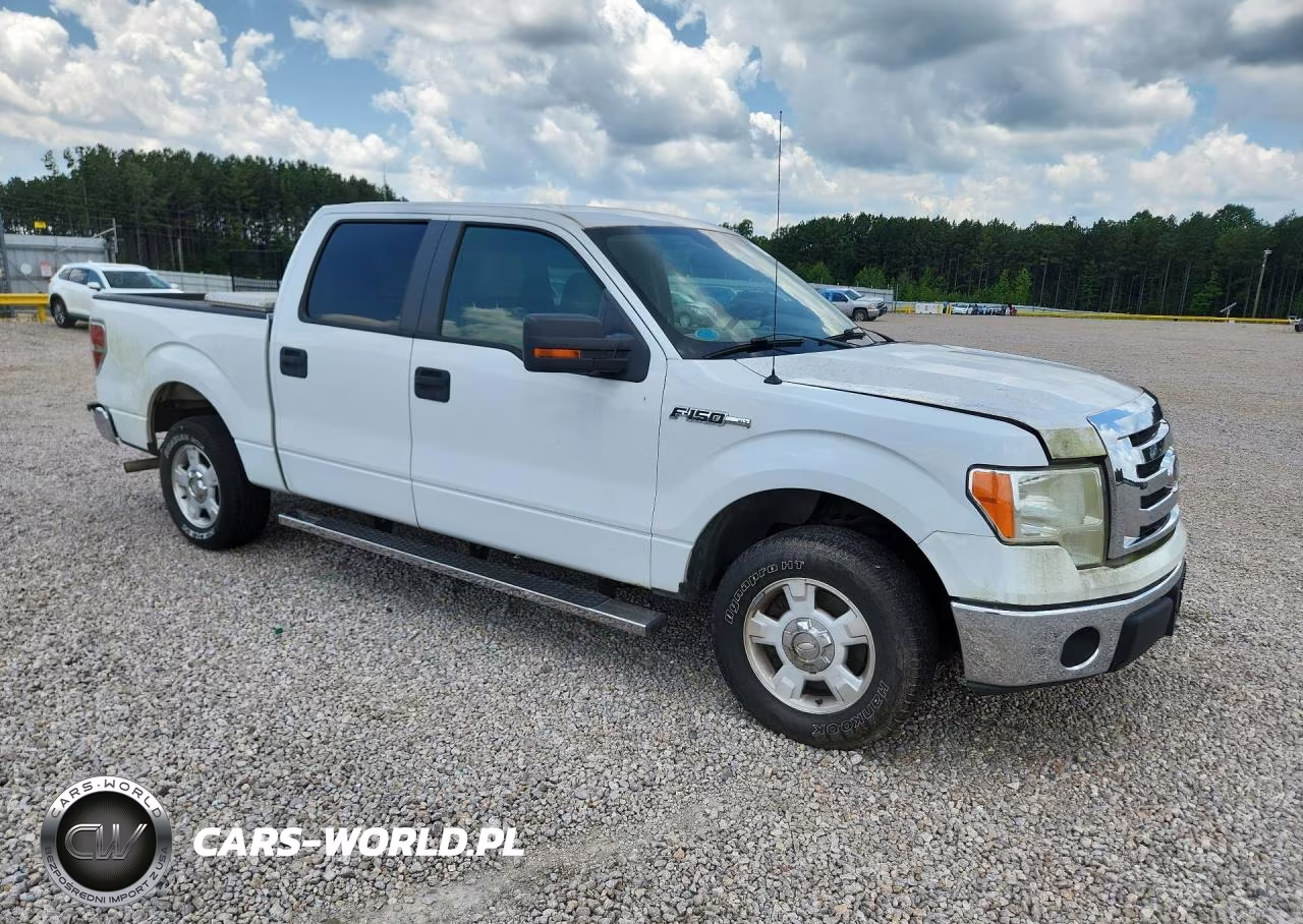 2010 Ford F150 Supercrew VIN:1FTFW1CV9AFB24515 - 4