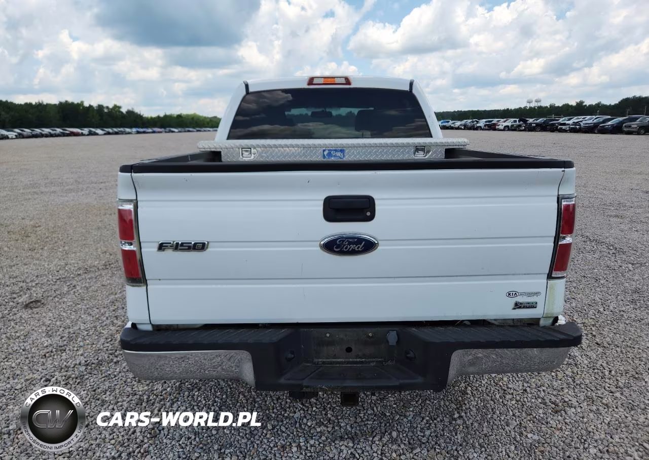 2010 Ford F150 Supercrew VIN:1FTFW1CV9AFB24515 - 6
