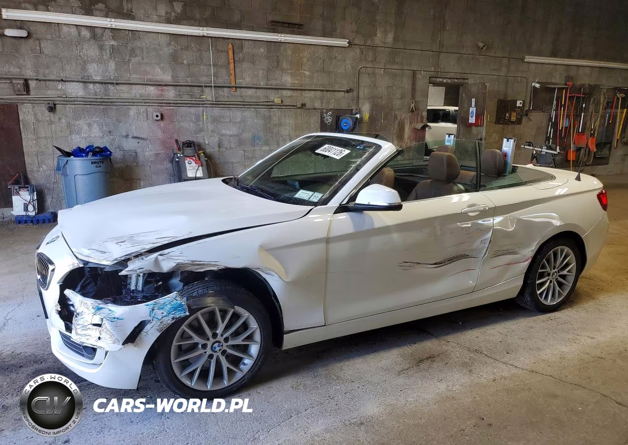 2015 BMW 228 Xi