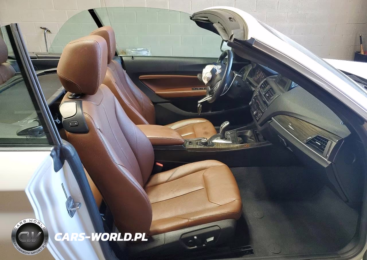 2015 BMW 228 Xi VIN:WBA1K7C53FV235497 - 10