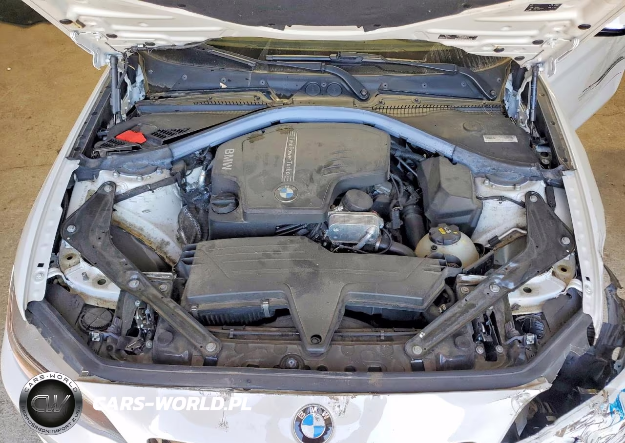 2015 BMW 228 Xi VIN:WBA1K7C53FV235497 - 11