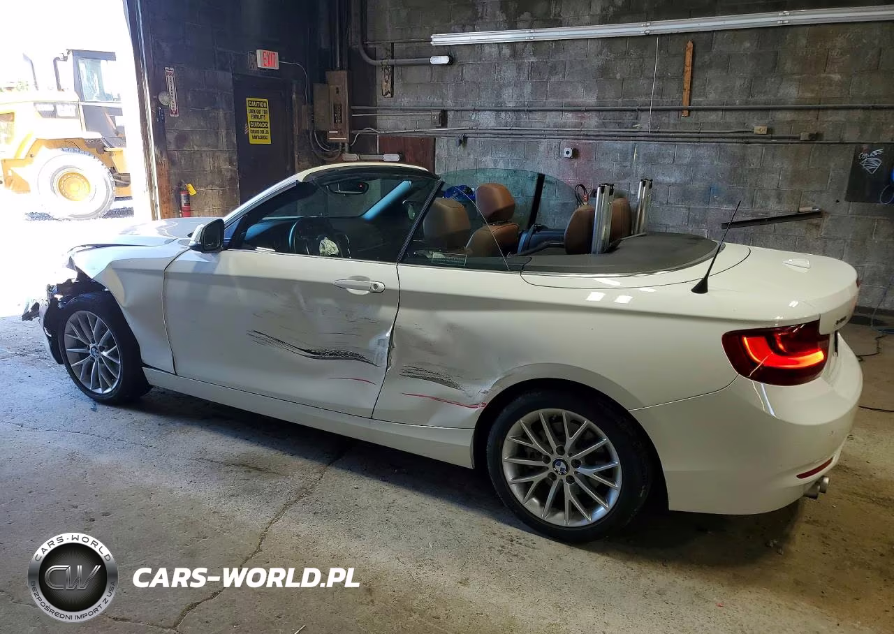 2015 BMW 228 Xi VIN:WBA1K7C53FV235497 - 2
