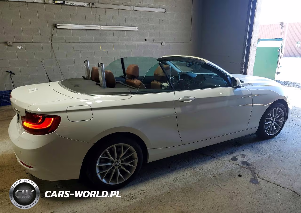 2015 BMW 228 Xi VIN:WBA1K7C53FV235497 - 3
