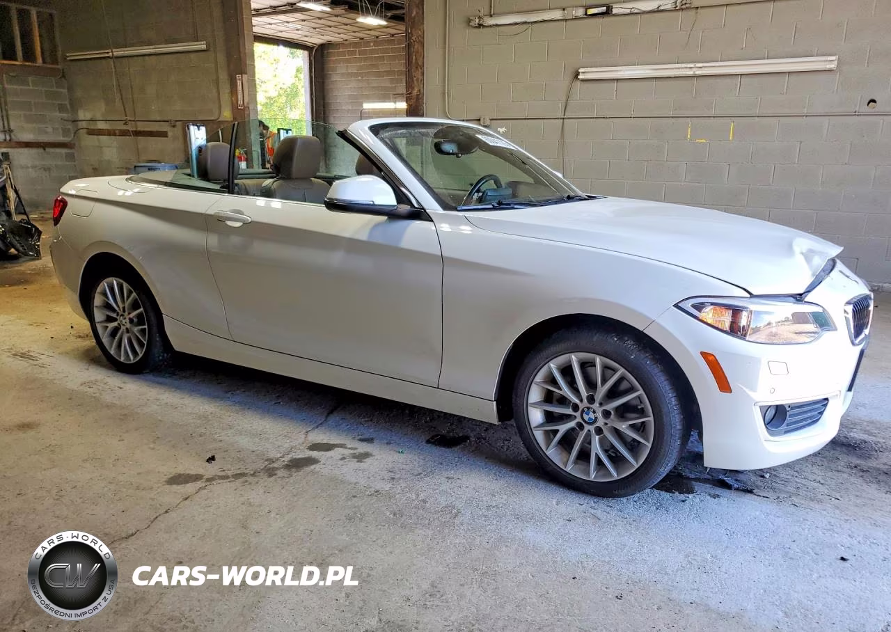 2015 BMW 228 Xi VIN:WBA1K7C53FV235497 - 4