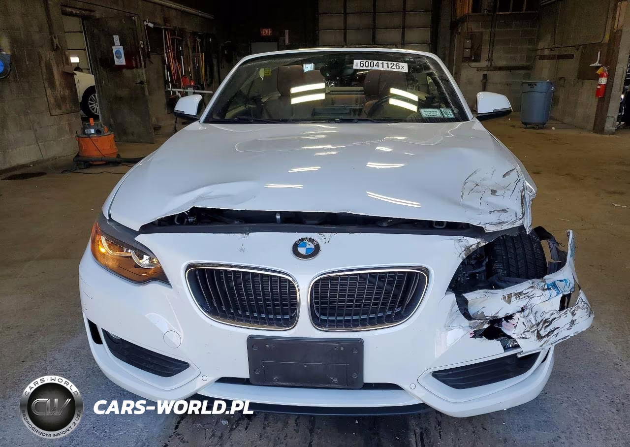 2015 BMW 228 Xi VIN:WBA1K7C53FV235497 - 5