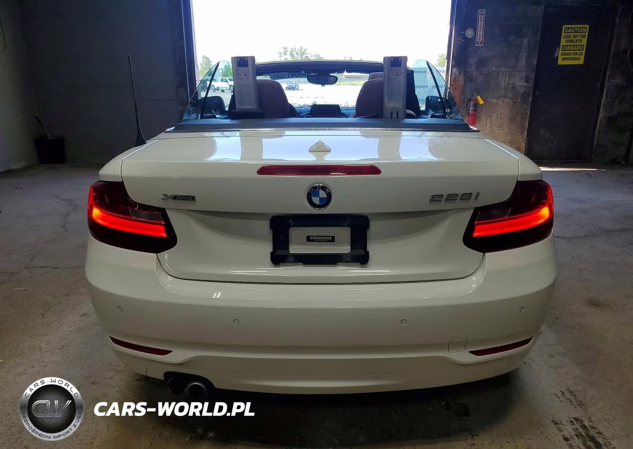 2015 BMW 228 Xi VIN:WBA1K7C53FV235497 - 6