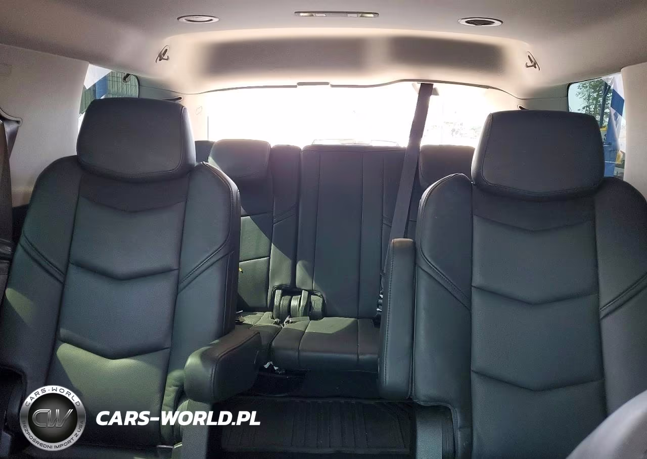 2015 Cadillac Escalade Luxury VIN:1GYS3MKJ6FR620038 - 10