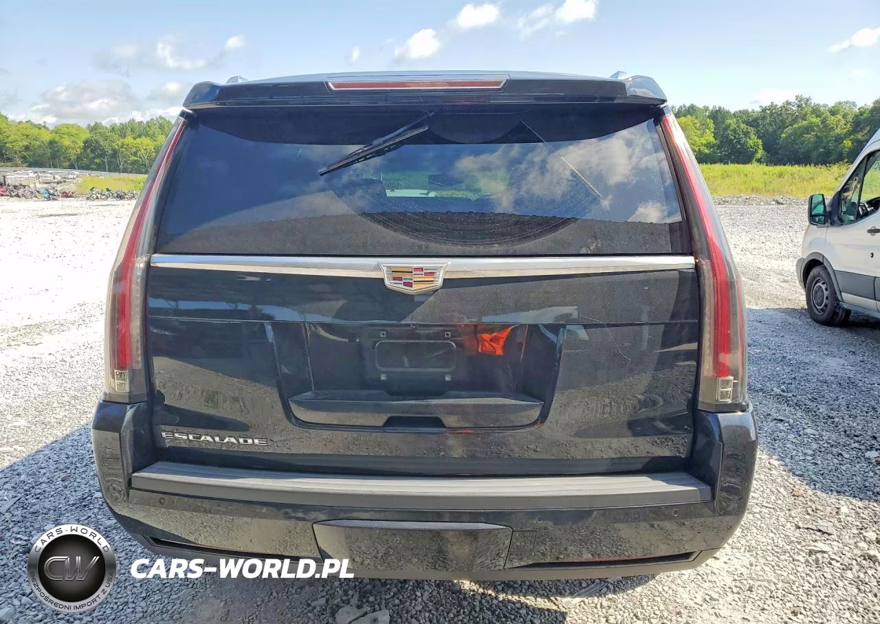 2015 Cadillac Escalade Luxury VIN:1GYS3MKJ6FR620038 - 6