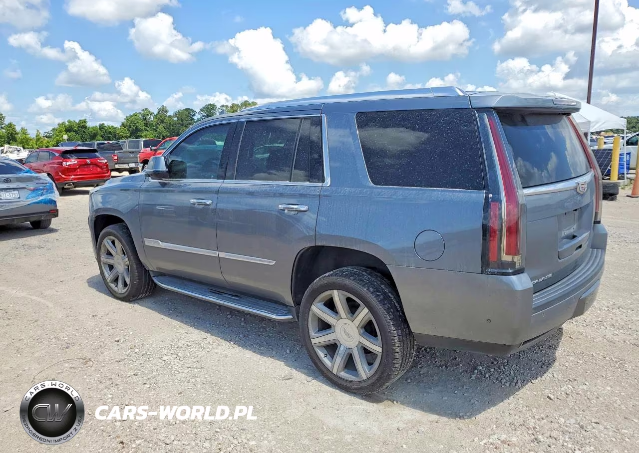2019 Cadillac Escalade Luxury VIN:1GYS3BKJ3KR342178 - 2