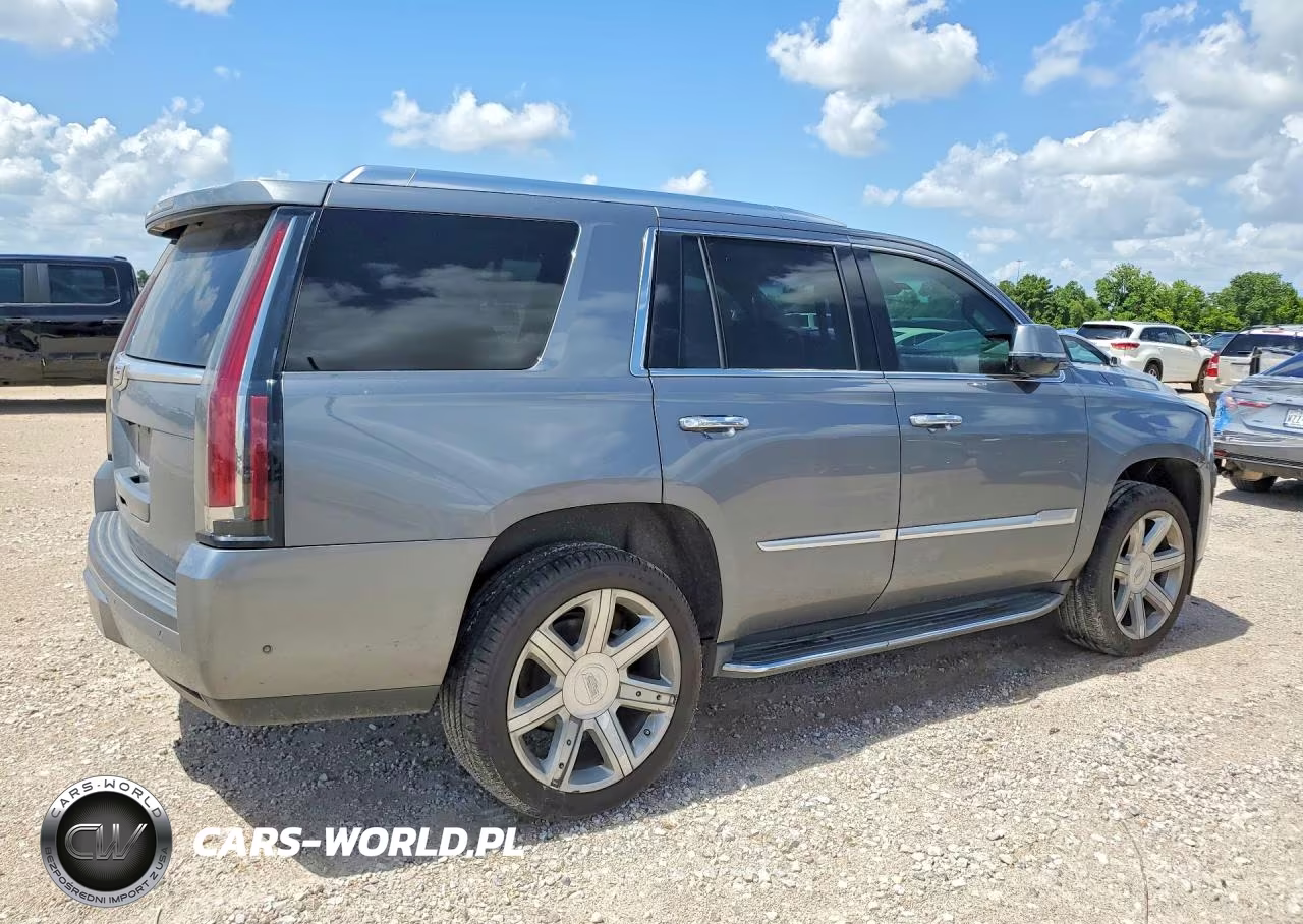2019 Cadillac Escalade Luxury VIN:1GYS3BKJ3KR342178 - 3