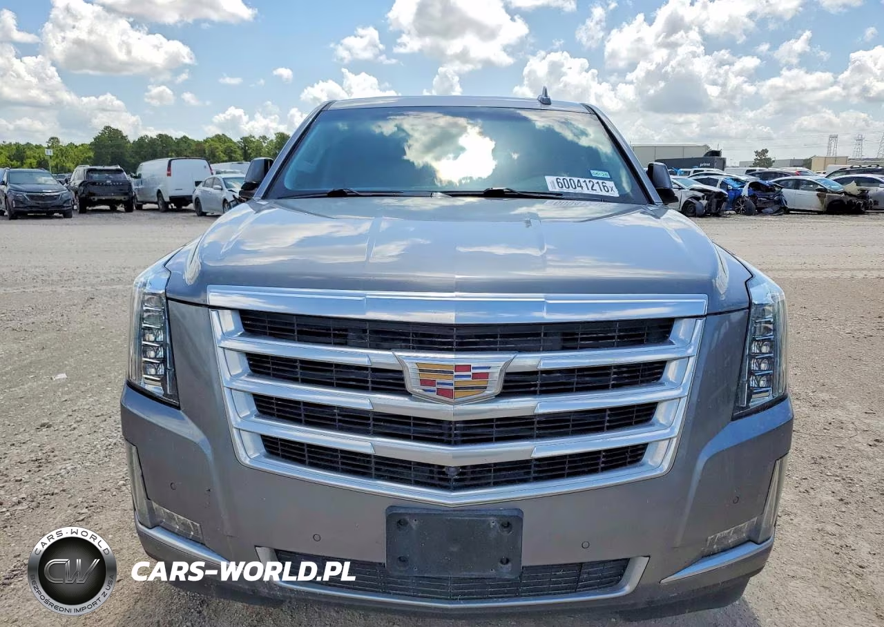 2019 Cadillac Escalade Luxury VIN:1GYS3BKJ3KR342178 - 5