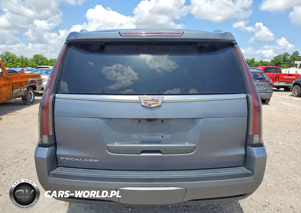 2019 Cadillac Escalade Luxury VIN:1GYS3BKJ3KR342178 - 6