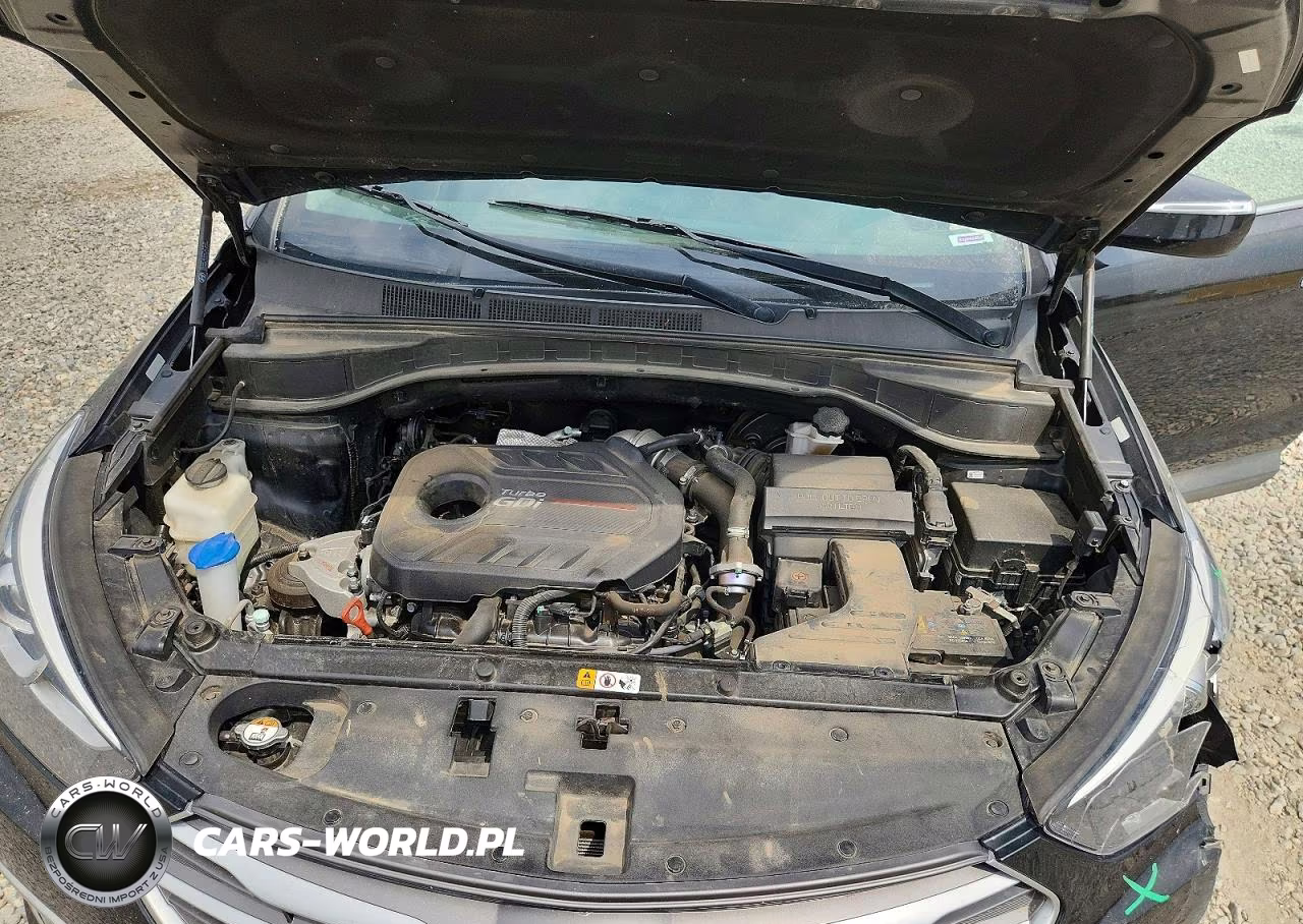 2018 Hyundai Santa Fe Sport 2.0T VIN:5XYZUDLA0JG548650 - 12