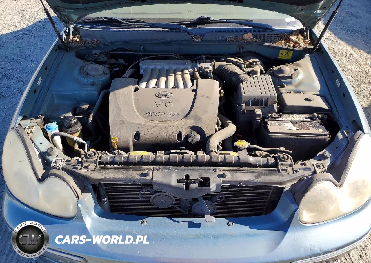 2004 Hyundai Sonata Gls VIN:KMHWF35H94A036063 - 11