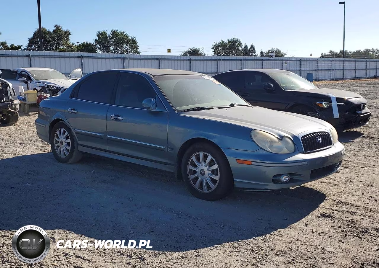 2004 Hyundai Sonata Gls VIN:KMHWF35H94A036063 - 4