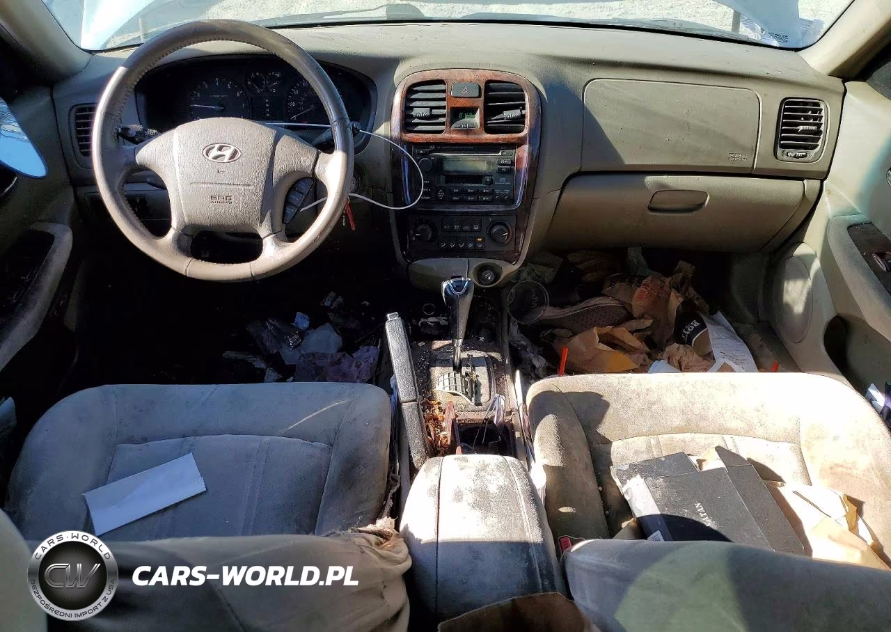 2004 Hyundai Sonata Gls VIN:KMHWF35H94A036063 - 8