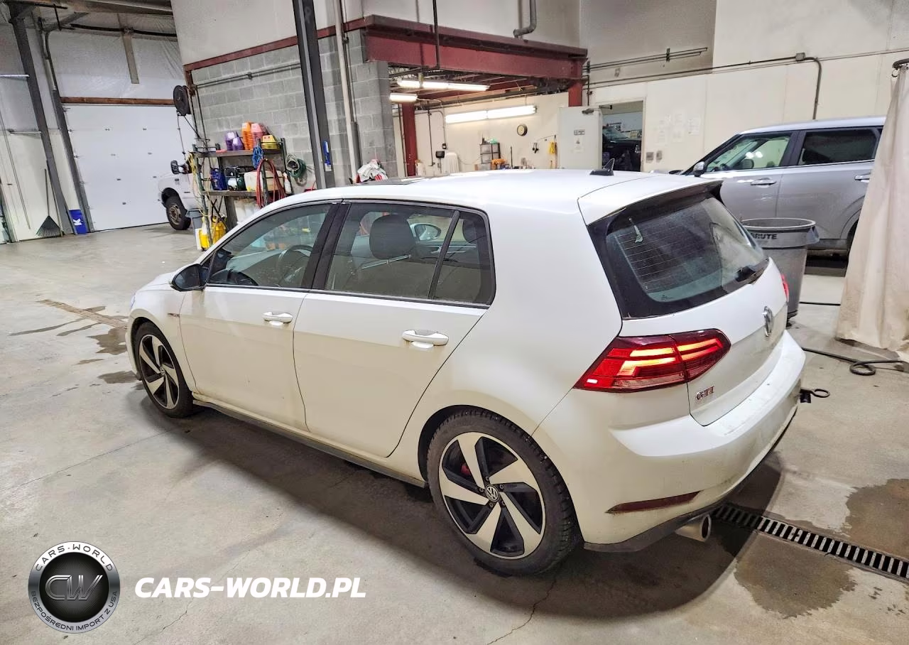 2019 Volkswagen Gti S-Se-Autobahn-Rabbit Edition VIN:3VW5T7AU0KM029826 - 2