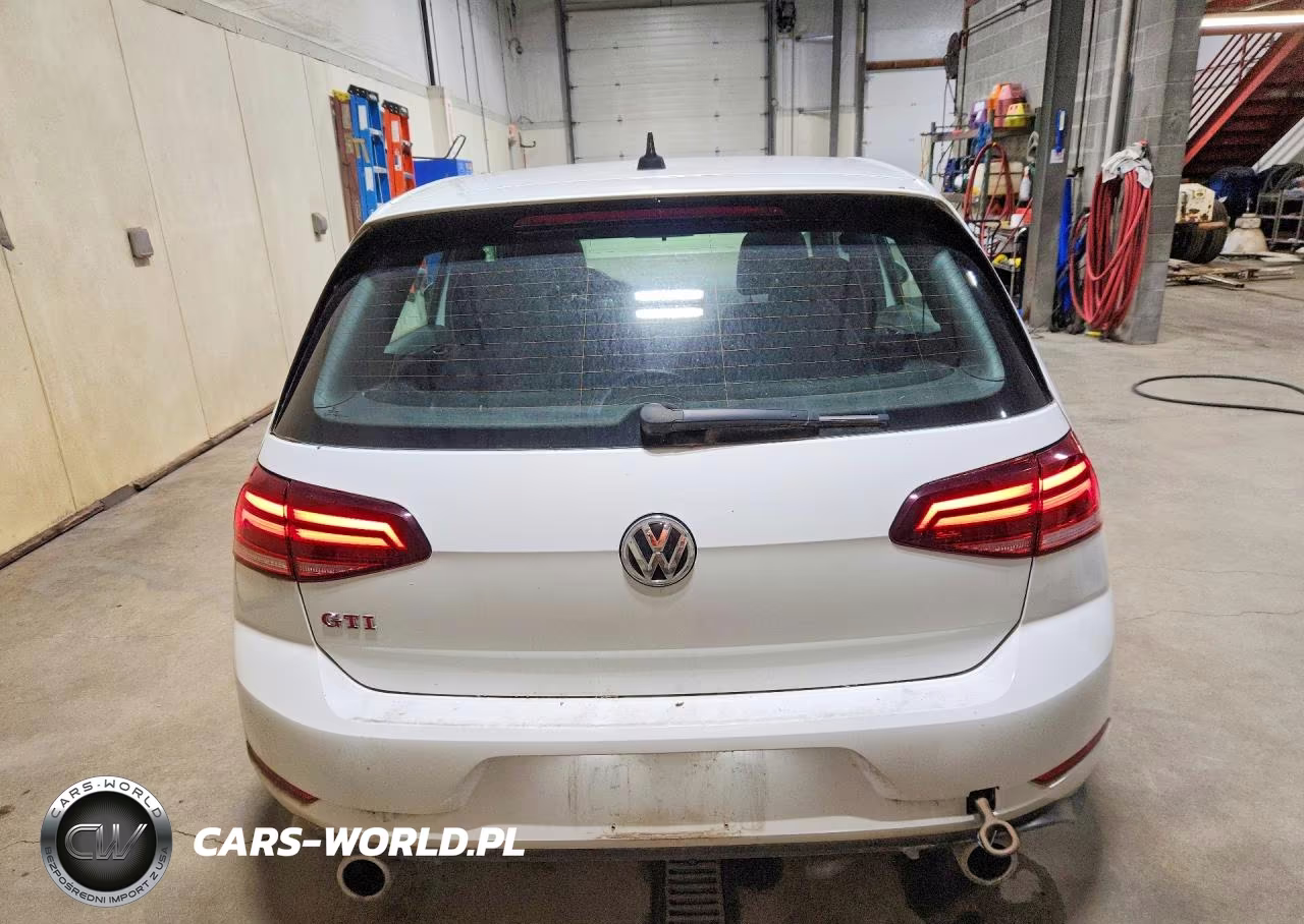 2019 Volkswagen Gti S-Se-Autobahn-Rabbit Edition VIN:3VW5T7AU0KM029826 - 6