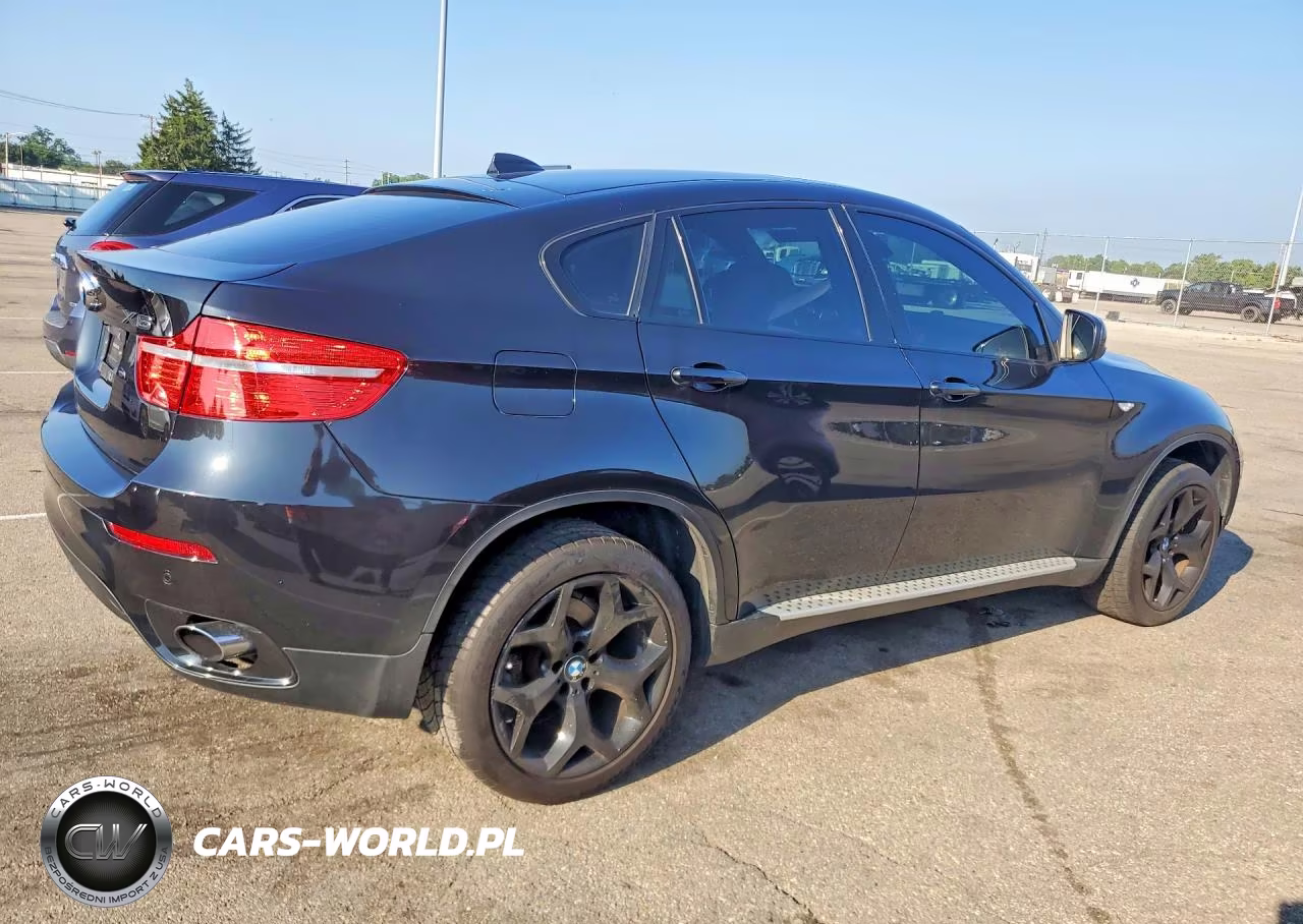 2010 BMW X6 xDrive35I VIN:5UXFG4C5XAL225237 - 3