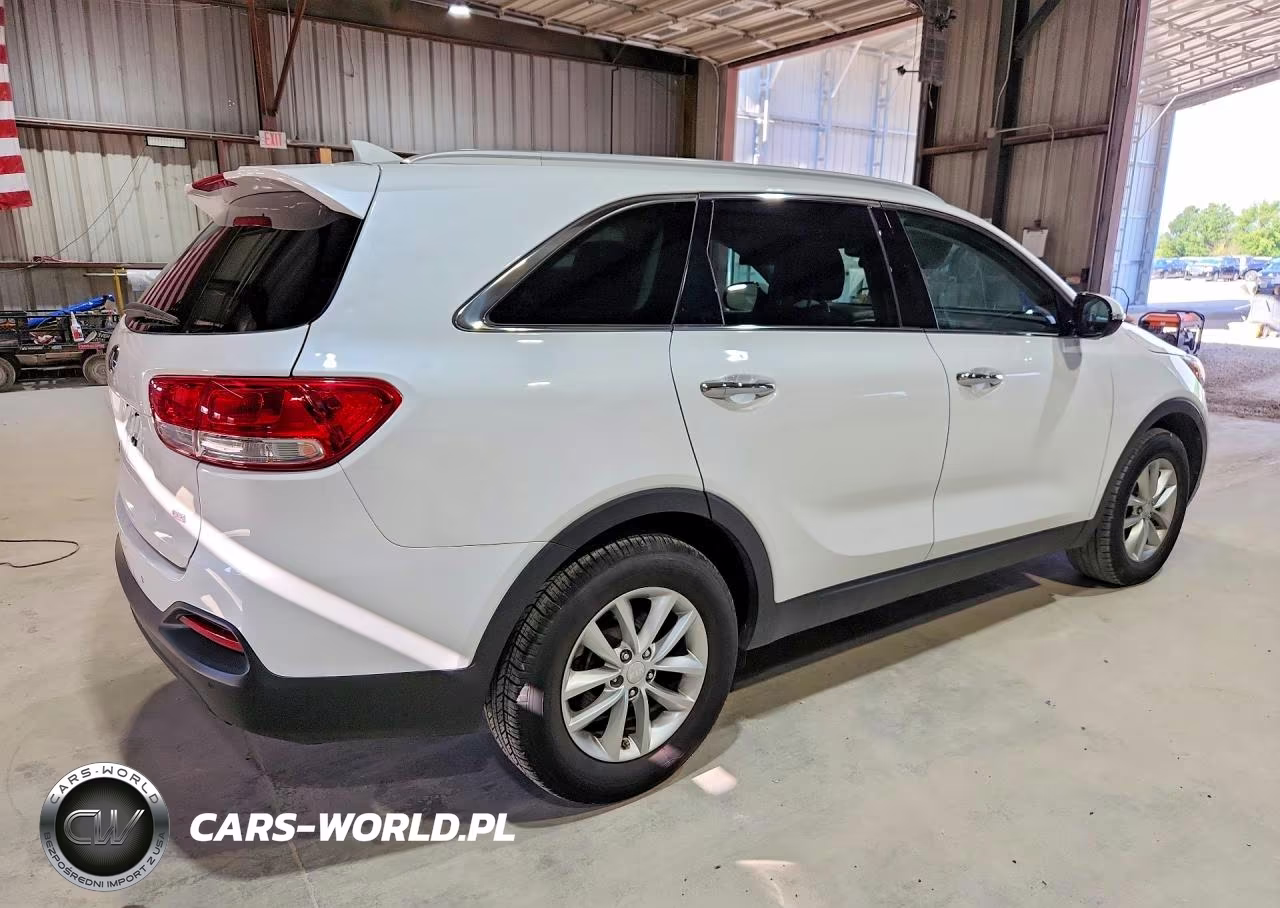 2017 Kia Sorento Lx VIN:5XYPG4A34HG197531 - 3