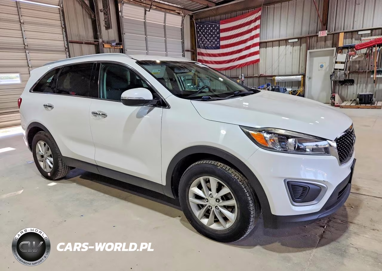 2017 Kia Sorento Lx VIN:5XYPG4A34HG197531 - 4