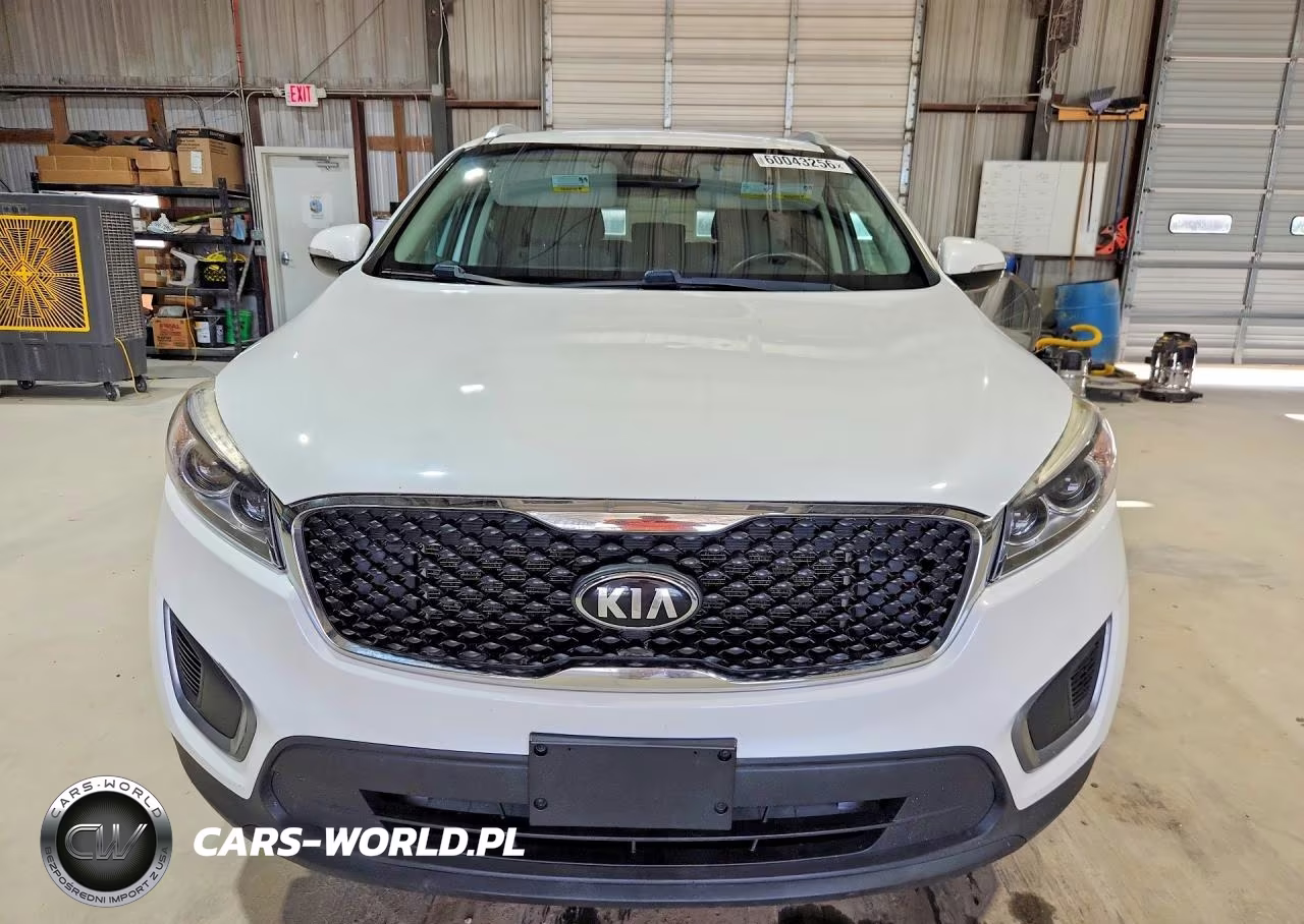 2017 Kia Sorento Lx VIN:5XYPG4A34HG197531 - 5