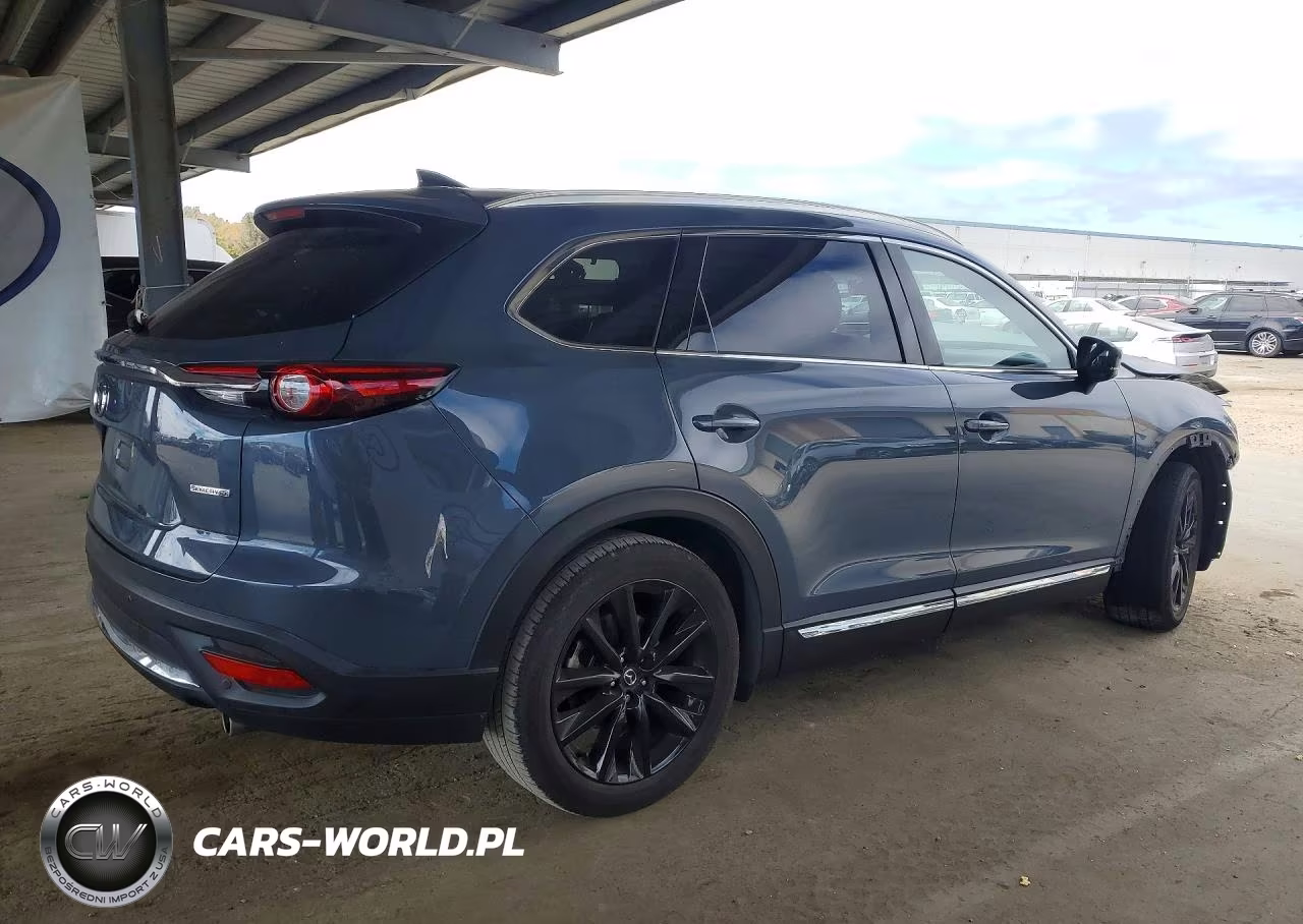 2021 Mazda Cx-9 Grand Touring VIN:JM3TCBDYXM0521417 - 3