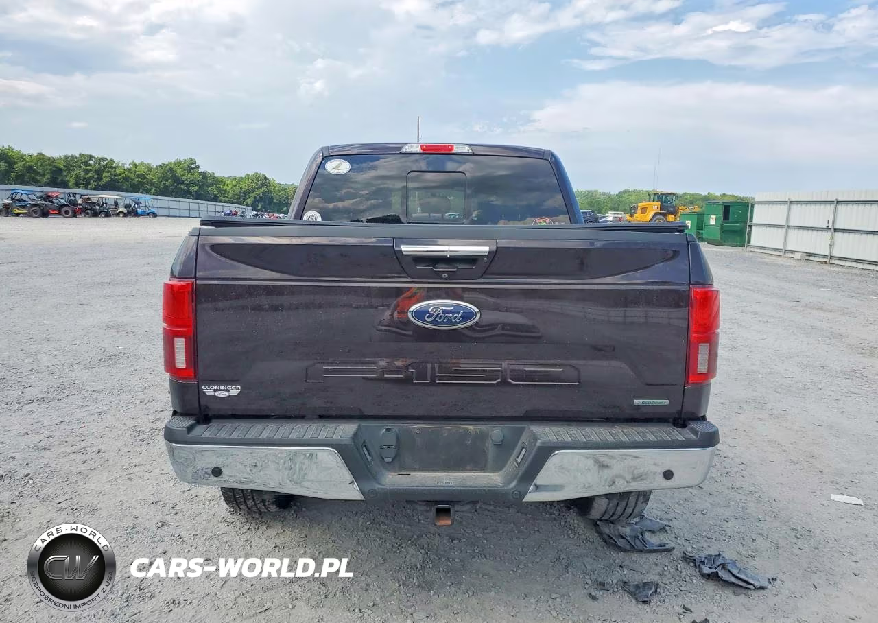2020 Ford F150 Lariat VIN:1FTEW1E4XLFC20477 - 6