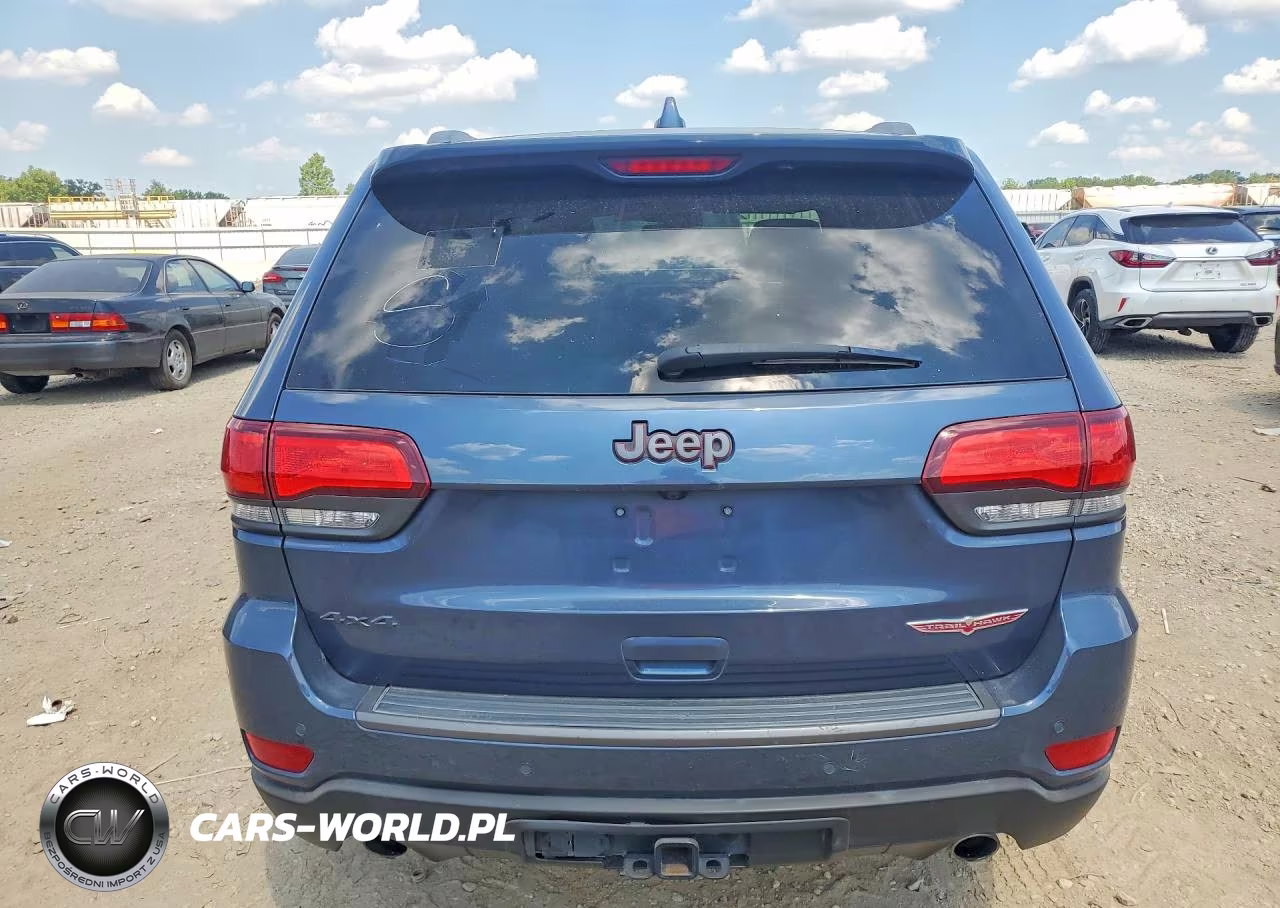 2020 Jeep Grand Cherokee Trailhawk VIN:1C4RJFLG0LC232097 - 6