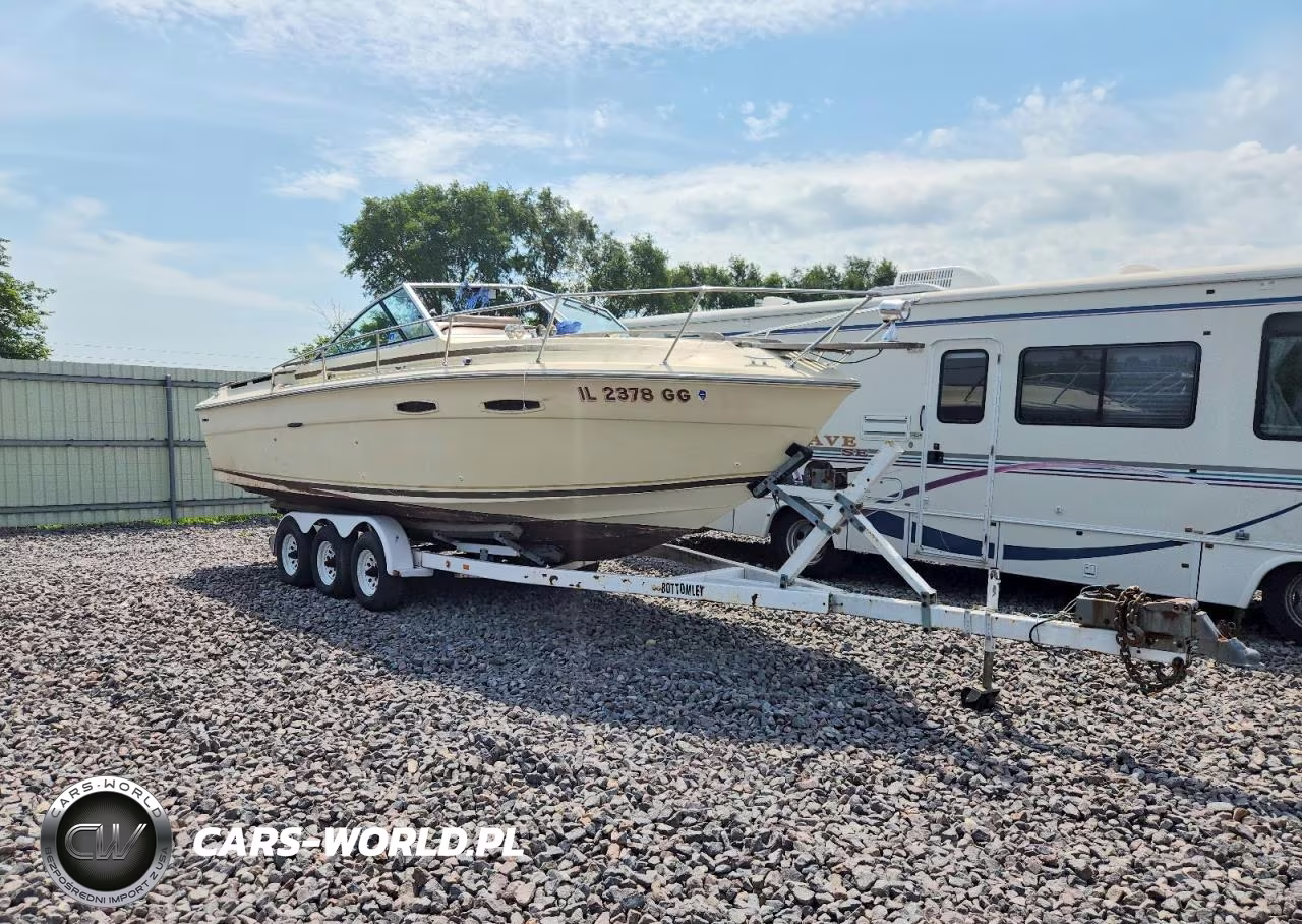 1982 Sea Ray Amberjack - Boat